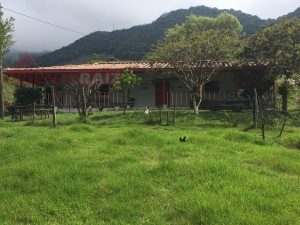 venta de finca en el Carmen de Viboral